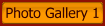 Photo Gallery